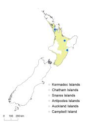 Pteris vittata distribution map based on databased records at AK, CHR & WELT.
 Image: K.Boardman © Landcare Research 2020 CC BY 4.0